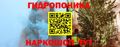 СК Севастополь