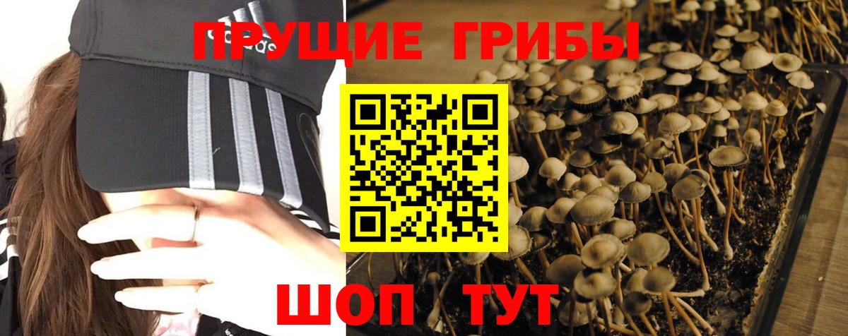 Галлюциногенные грибы Magic Shrooms  Вход с VPN  где можно купить наркотик  Протвино  Галлюциногенные грибы GOLDEN TEACHER 