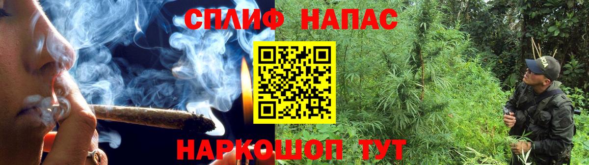 Шишки марихуана ГИДРОПОН  Марихуана план  Вход с VPN  МАРИХУАНА OG Kush  Протвино 